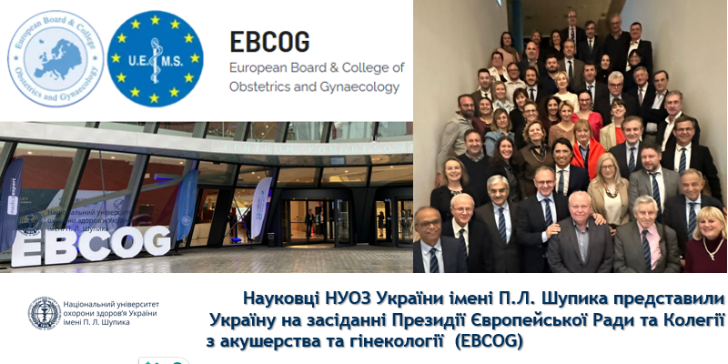 Українські медики взяли участь у засіданні EBCOG у Бельгії