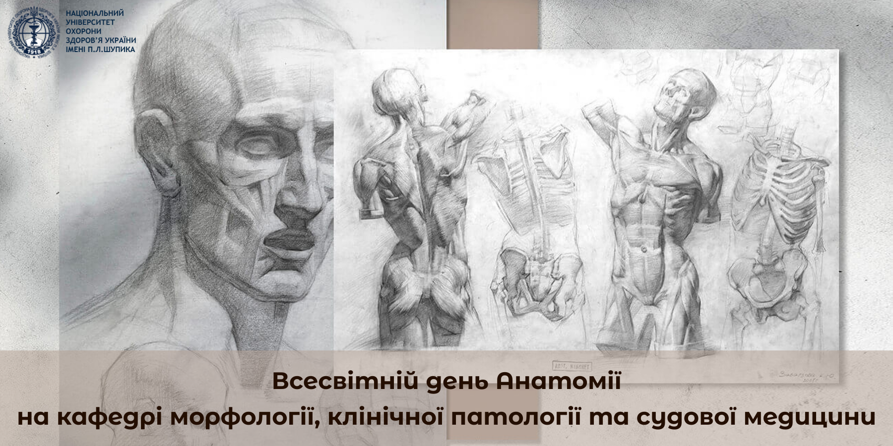 Всесвітній день Анатомії на кафедрі морфології, клінічної патології та судової медицини