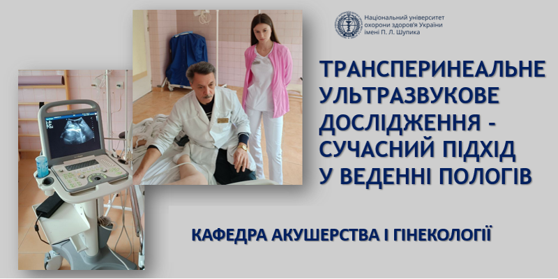 Трансперинеальне ультразвукове дослідження - сучасний підхід у веденні пологів Трансперинеальне ультразвукове дослідження - сучасний підхід у веденні пологів